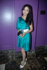 at Saath Nibhana Sathiya Star Plus serial bash in J W Marriott on 24th Dec 2011 (59).JPG